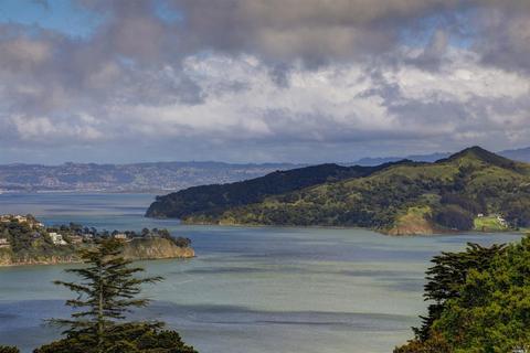10 Booker Ave, Sausalito, CA 94965 photo 46