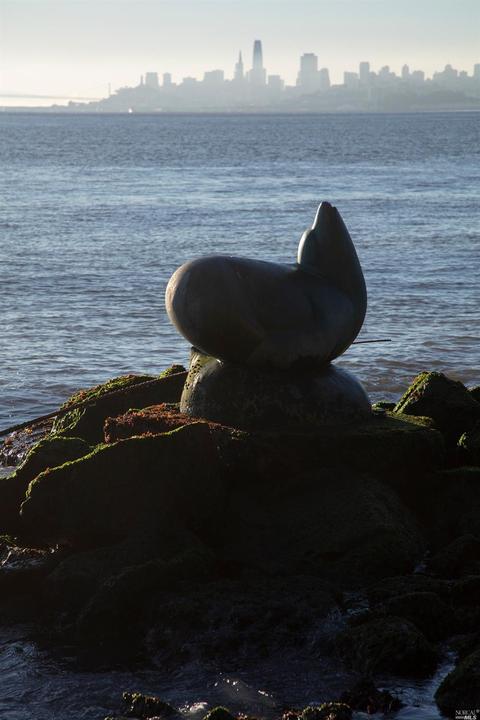 Undisclosed, Sausalito, CA 94965 photo 30