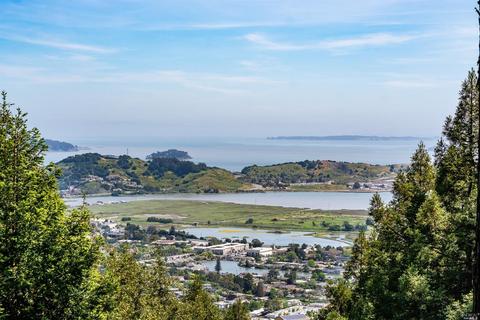 327 Summit Dr, Corte Madera, CA 94925 photo 4