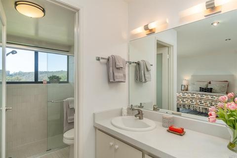 955 Vernal Ave, Mill Valley, CA 94941 photo 14