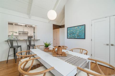 955 Vernal Ave, Mill Valley, CA 94941 photo 30