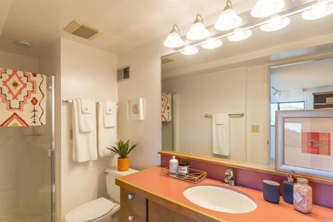 955 Vernal Ave, Mill Valley, CA 94941 photo 20