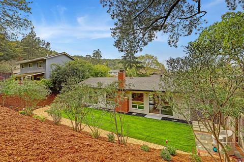 41 Gregg Pl, Novato, CA 94949 photo 29