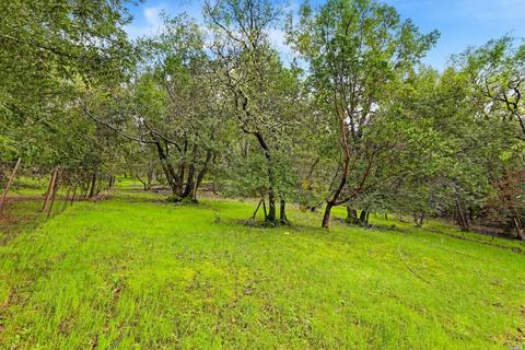 41 Gregg Pl, Novato, CA 94949 photo 28