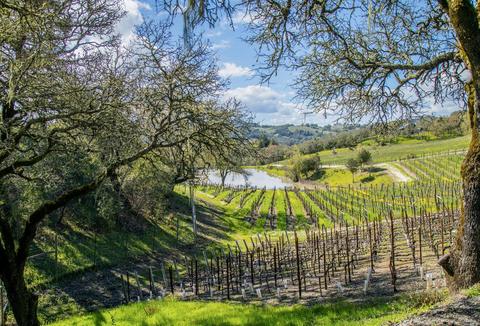 13402 Chalk Hill Rd, Healdsburg, CA 95448 photo 4