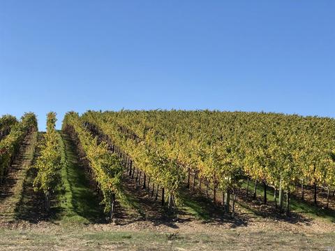 13402 Chalk Hill Rd, Healdsburg, CA 95448 photo 11