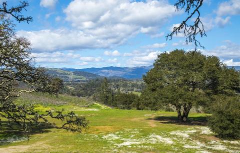 13402 Chalk Hill Rd, Healdsburg, CA 95448 photo 2