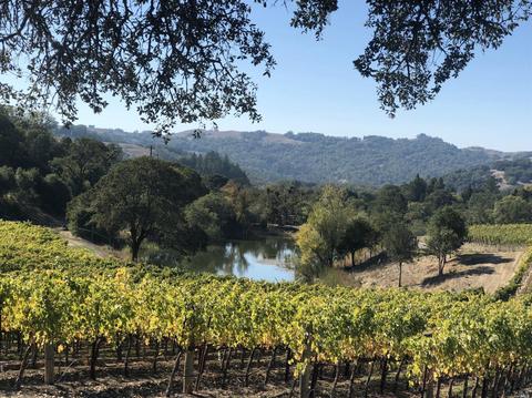 13402 Chalk Hill Rd, Healdsburg, CA 95448 photo 12