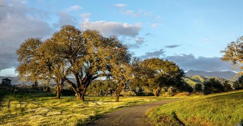 13402 Chalk Hill Rd, Healdsburg, CA 95448 photo 9