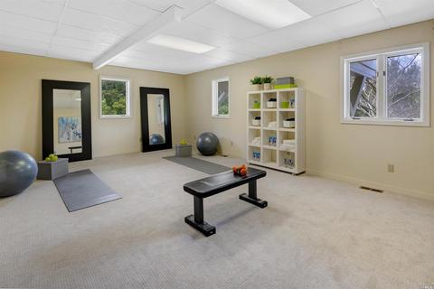 208 Benson Cir, Mill Valley, CA 94941 photo 36