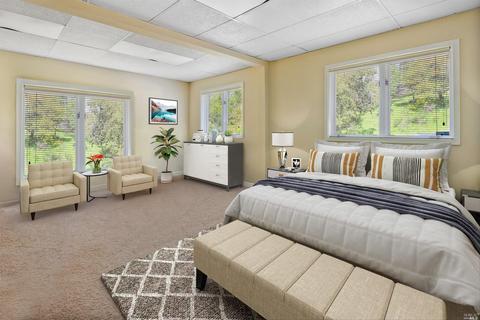 208 Benson Cir, Mill Valley, CA 94941 photo 39