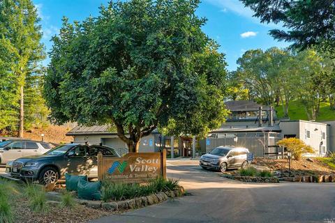 208 Benson Cir, Mill Valley, CA 94941 photo 44