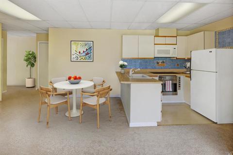 208 Benson Cir, Mill Valley, CA 94941 photo 38