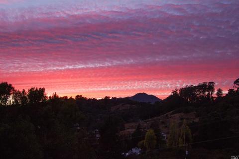 208 Benson Cir, Mill Valley, CA 94941 photo 46