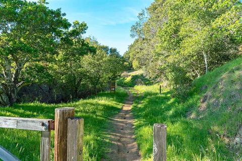 208 Benson Cir, Mill Valley, CA 94941 photo 43