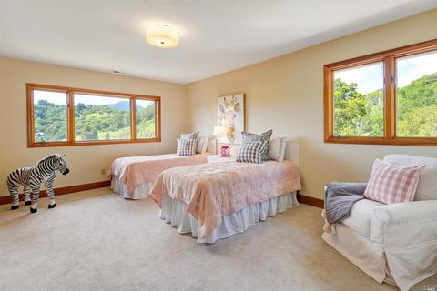 208 Benson Cir, Mill Valley, CA 94941 photo 32