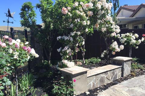 2555 Shadetree Cir, Vallejo, CA 94591 photo 45