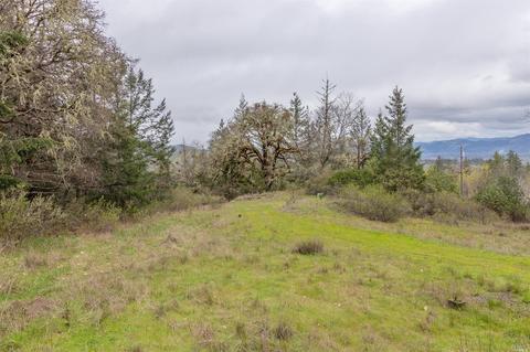 18200 Shafer Ranch Rd, Willits, CA 95490 photo 35