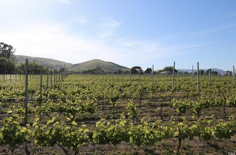 24129 Turkey Rd, Sonoma, CA 95476 photo 27