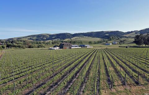 24129 Turkey Rd, Sonoma, CA 95476 photo 1