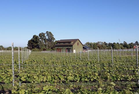 24129 Turkey Rd, Sonoma, CA 95476 photo 3