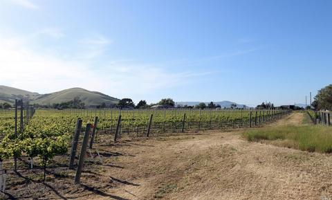 24129 Turkey Rd, Sonoma, CA 95476 photo 29