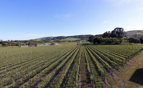 24129 Turkey Rd, Sonoma, CA 95476 photo 30