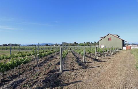 24129 Turkey Rd, Sonoma, CA 95476 photo 4