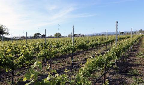 24129 Turkey Rd, Sonoma, CA 95476 photo 28