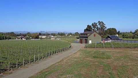 24129 Turkey Rd, Sonoma, CA 95476 photo 23