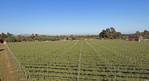24129 Turkey Rd, Sonoma, CA 95476 photo 26