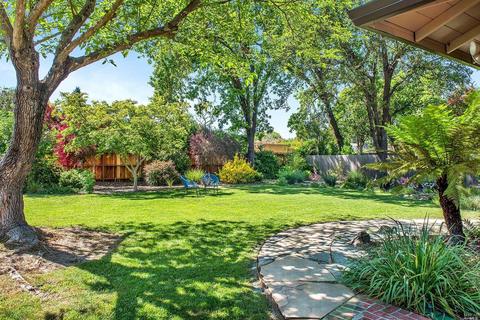 503 Piezzi Rd, Santa Rosa, CA 95401 photo 32