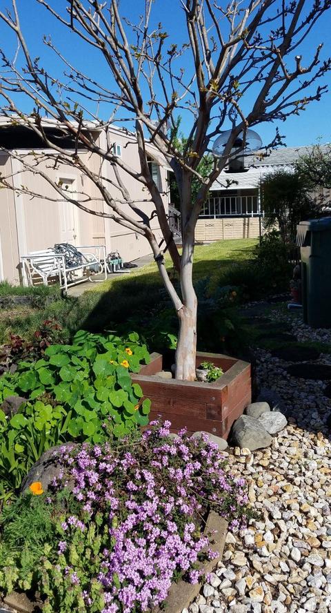 8123 C St #8123, Windsor, CA 95492 photo 18