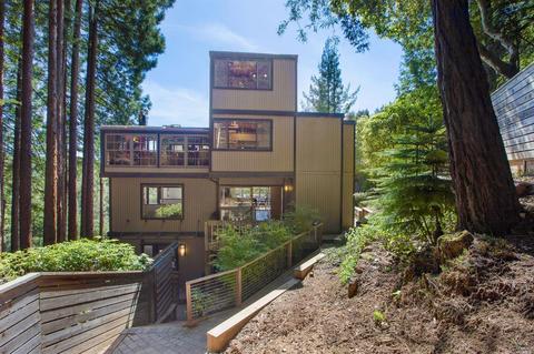 14 Bay Tree Ln, Mill Valley, CA 94941 photo 32