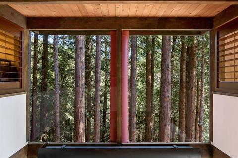 14 Bay Tree Ln, Mill Valley, CA 94941 photo 30