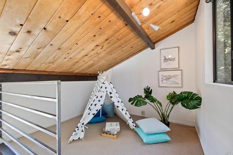 14 Bay Tree Ln, Mill Valley, CA 94941 photo 24
