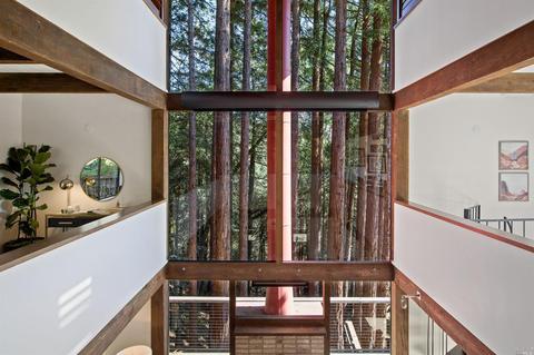 14 Bay Tree Ln, Mill Valley, CA 94941 photo 5