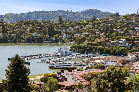 249 Diviso St, Tiburon, CA 94920 photo 28
