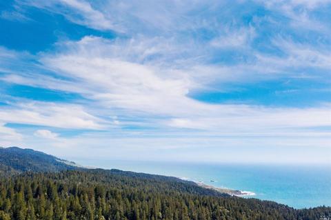 22089 Ruoff Rd, Timber Cove, CA 95450 photo 28