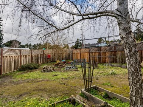 229 Bodega Ave, Petaluma, CA 94952 photo 21