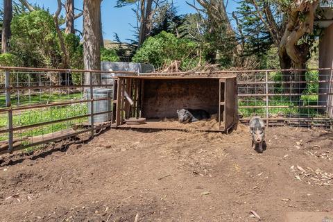 1925 Bay Flat Rd, Bodega Bay, CA 94923 photo 12