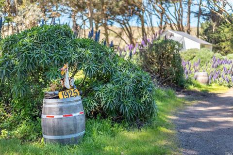 1925 Bay Flat Rd, Bodega Bay, CA 94923 photo 18