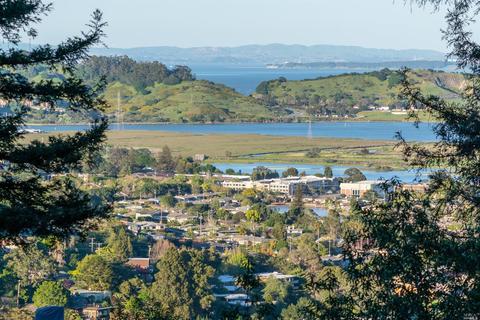 87 Summit Dr, Corte Madera, CA 94925 photo 24