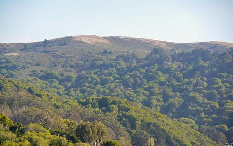 261 Greene St, Mill Valley, CA 94941 photo 12