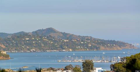 261 Greene St, Mill Valley, CA 94941 photo 4