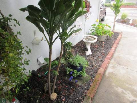 343 E Pacific Ave, Fairfield, CA 94533 photo 38