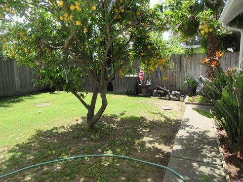 343 E Pacific Ave, Fairfield, CA 94533 photo 19