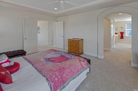 7631 Baldocchi Way, Windsor, CA 95492 photo 21