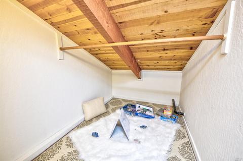 381 E Strawberry Dr, Mill Valley, CA 94941 photo 28