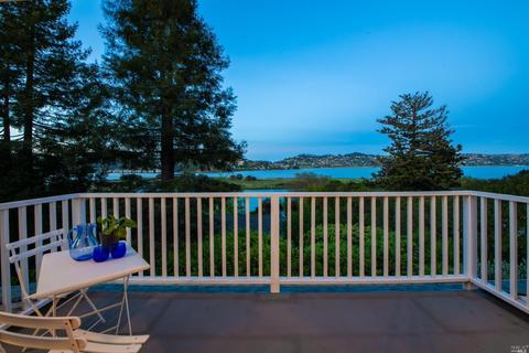 381 E Strawberry Dr, Mill Valley, CA 94941 photo 4